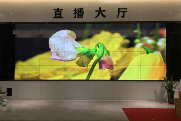 直播大屏用哪種好，直播大屏有哪些